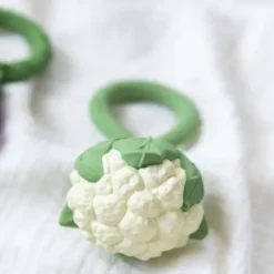 Oli & Carol Rammelaar - Bloemkool