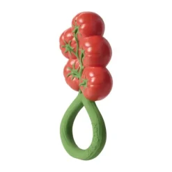 Oli & Carol Rammelaar - Tomaat