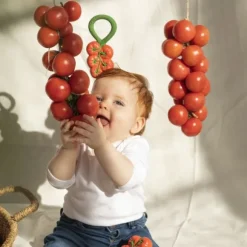 Oli & Carol Rammelaar - Tomaat