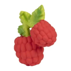 Oli & Carol Valery The Raspberry Bijtspeeltje