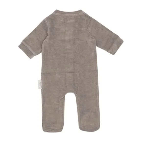 Producten8720964482897 Mirre Voets Mijn Account Afmelden Andere acties PDF Vergelijk / Vertaal Clone Verwijderen Opslaan en volgende Opslaan Witlof For Kids Boxpakje - Velvet Rib - Mt. 50/56 - Warm Grey