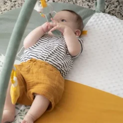 Sophie de Giraf Reverso Activity & Foto Speelmat