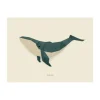 Studio Ditte Poster - Walvis - 40 x 30 cm
