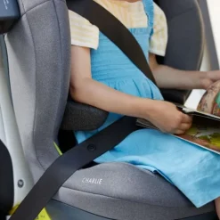 Swandoo Charlie Armsteunen - Chia Black