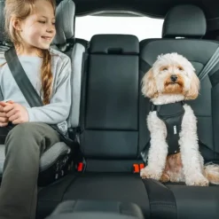 Thule Palm Booster Autostoel - Black | Thule Palm Voetsteun