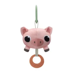 Tiny Love Farmers Funday Speelkleed