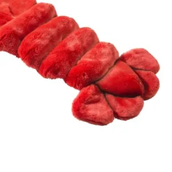 Wild & Soft Dierenkostuum - Kreeft