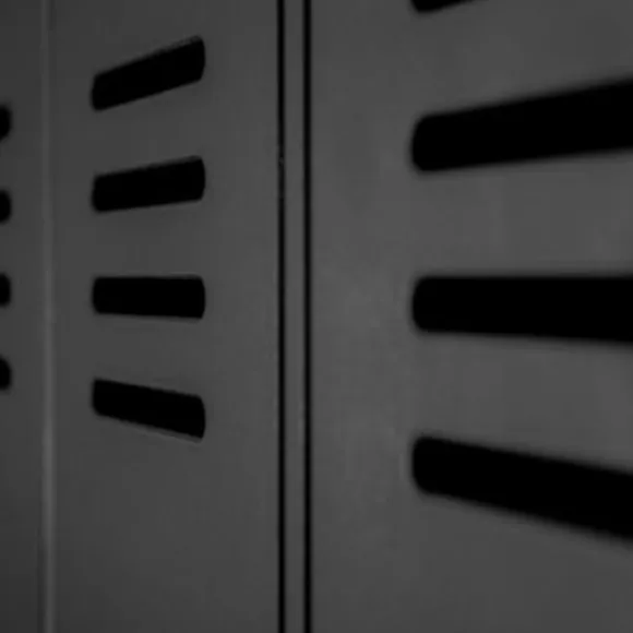 Woood Stijn Kast 2-Deurs Zwart